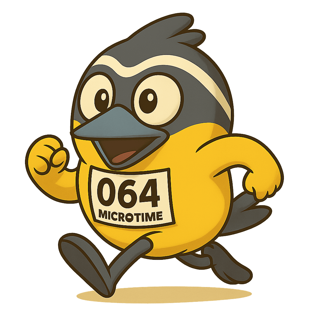MicroTime Login